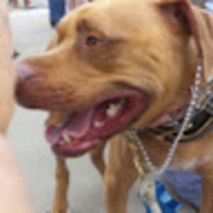 Meet your Posher, Joseph